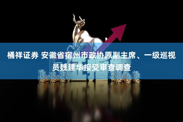 桶祥证券 安徽省宿州市政协原副主席、一级巡视员魏建华接受审查调查