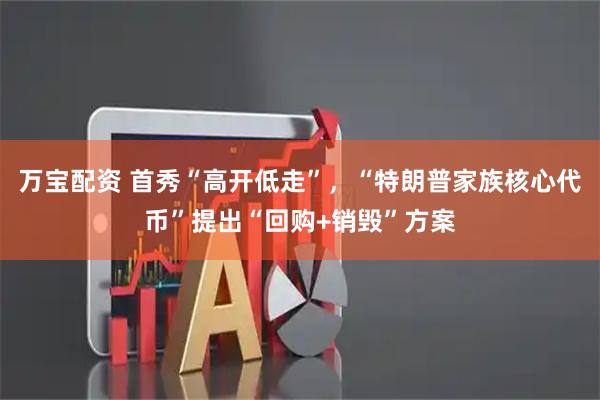 万宝配资 首秀“高开低走”，“特朗普家族核心代币”提出“回购+销毁”方案