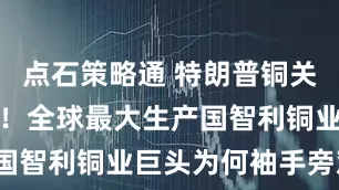 点石策略通 特朗普铜关税震撼全球！全球最大生产国智利铜业巨头为何袖手旁观？